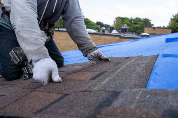 Roof Gutter Cleaning in Bourbon, IN